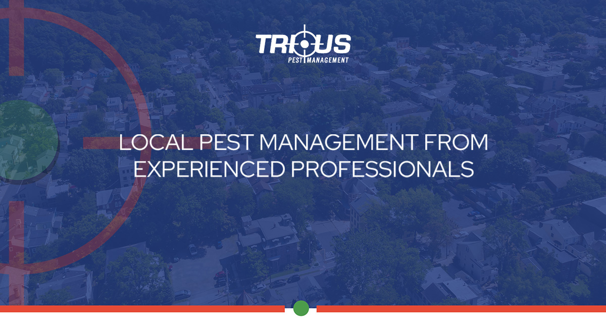 Morristown Pest Control Trius Pest Management