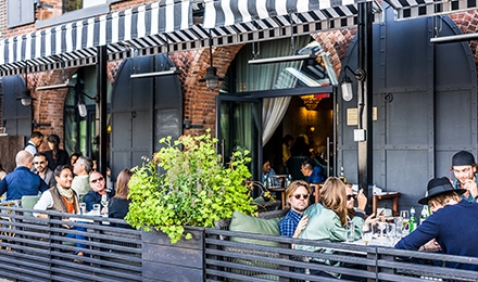 Commercial Pest Control